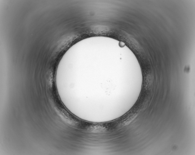 X0000093390644200711011312