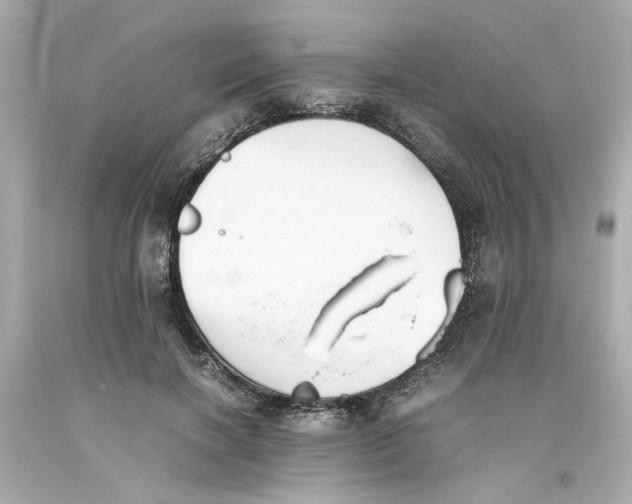 X0000093390646200711011312