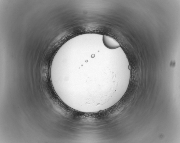 X0000093390648200711011312