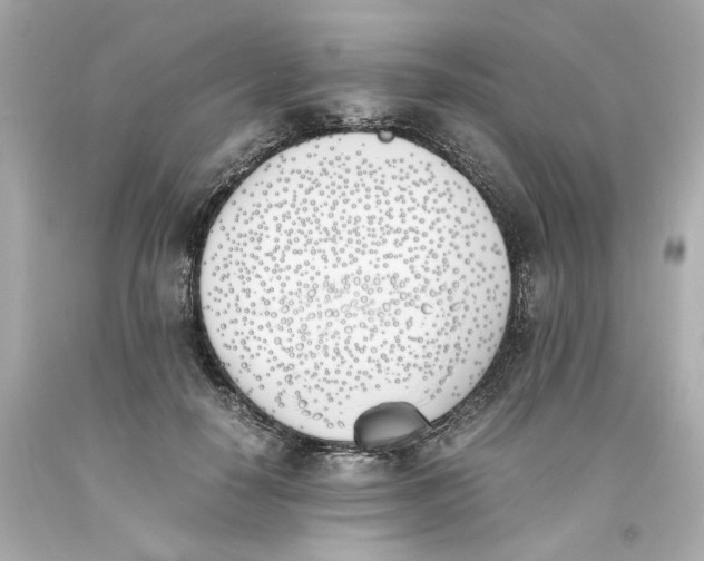 X0000093390650200711011312