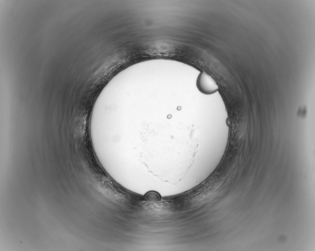 X0000093390652200711011312