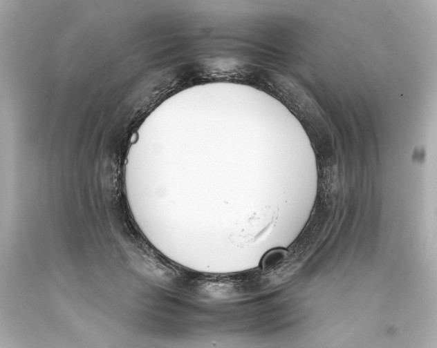 X0000093390653200711011312