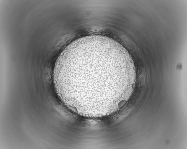 X0000093390654200711011312