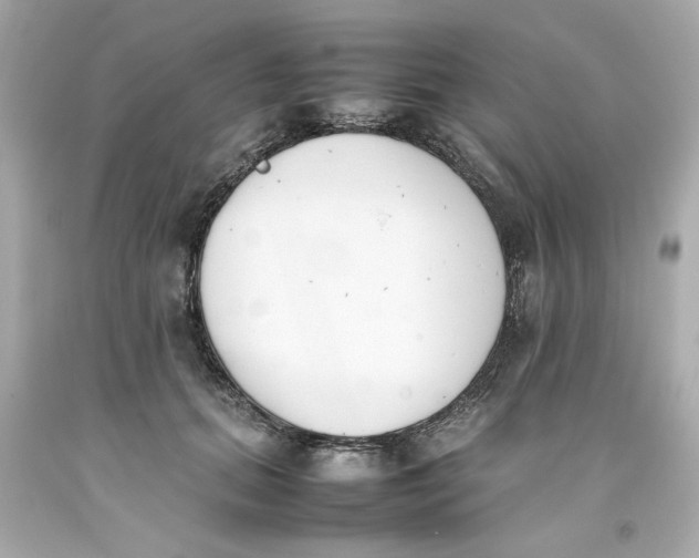 X0000093390655200711011312