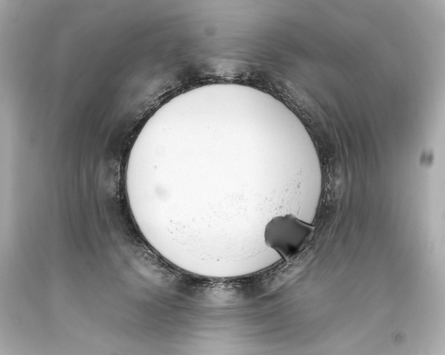 X0000093390656200711011312