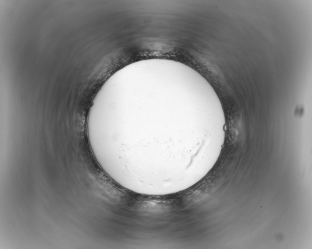 X0000093390657200711011312