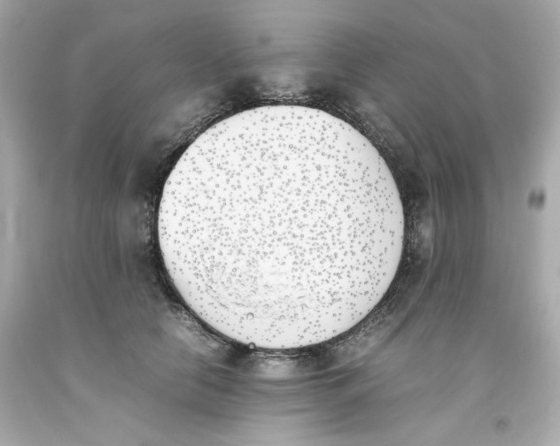 X0000093390658200711011312