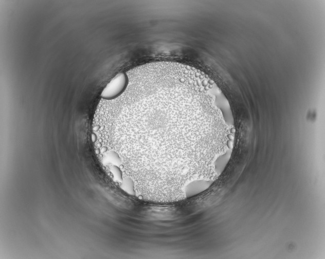 X0000093390659200711011312