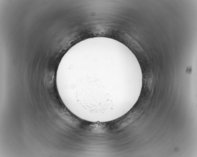 X0000093390660200711011312