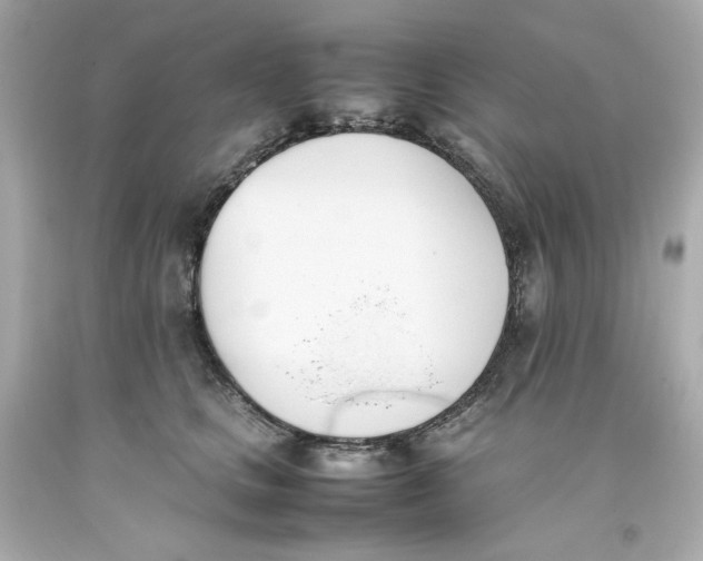 X0000093390661200711011312