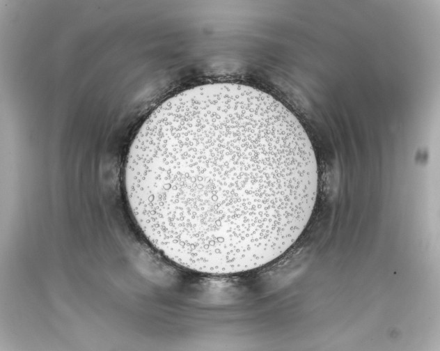 X0000093390662200711011312