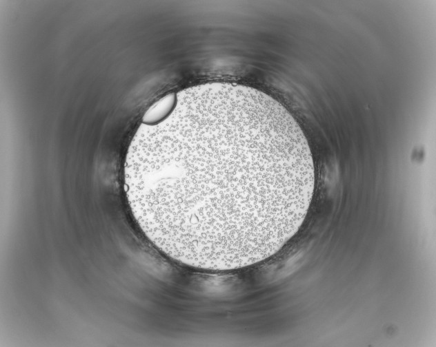 X0000093390663200711011312