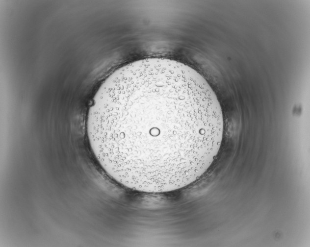 X0000093390666200711011312