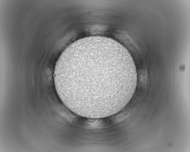 X0000093390667200711011312