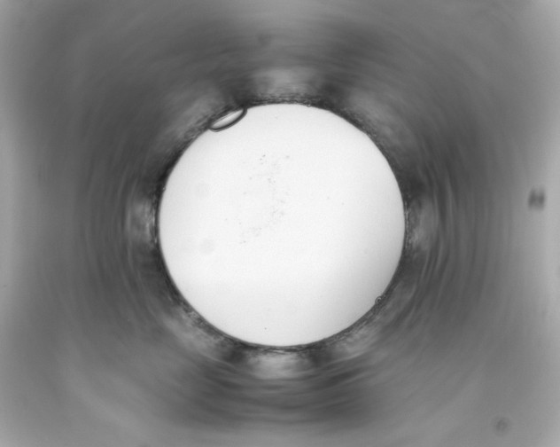 X0000093390669200711011312