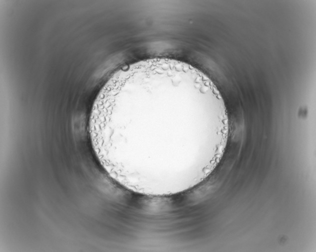 X0000093390670200711011312