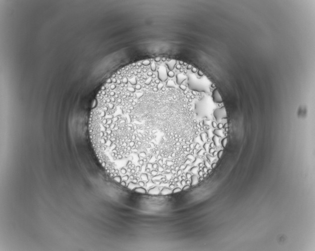 X0000093390671200711011312