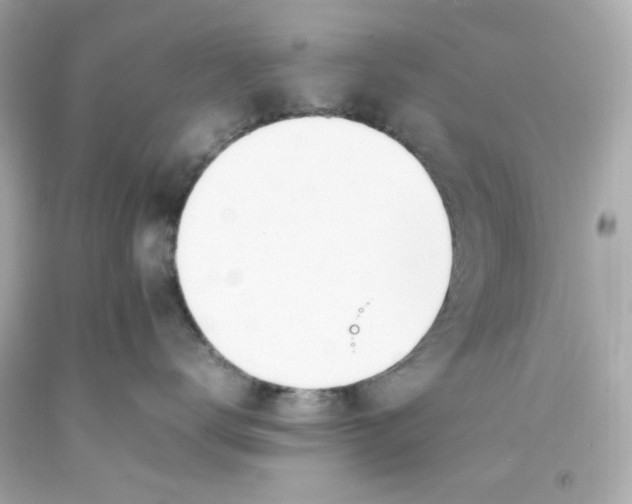 X0000093390672200711011312