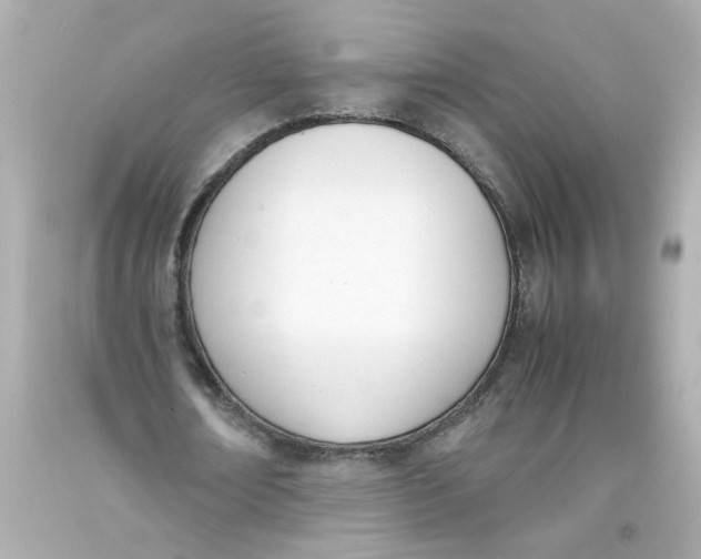 X0000093390674200711011311