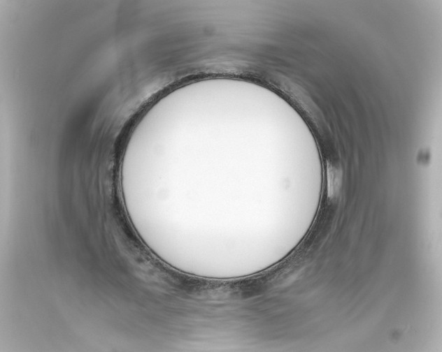 X0000093390675200711011311