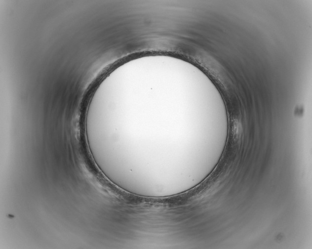 X0000093390676200711011311