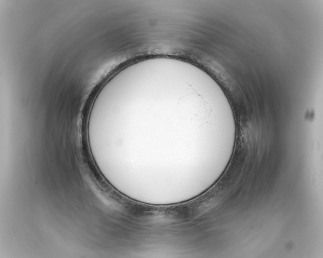 X0000093390678200711011311