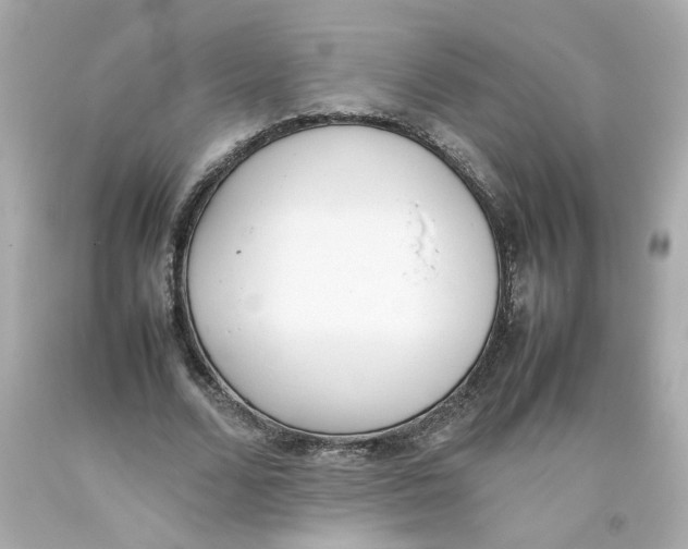 X0000093390680200711011311