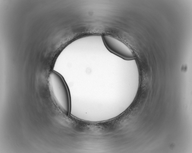 X0000093390681200711011311