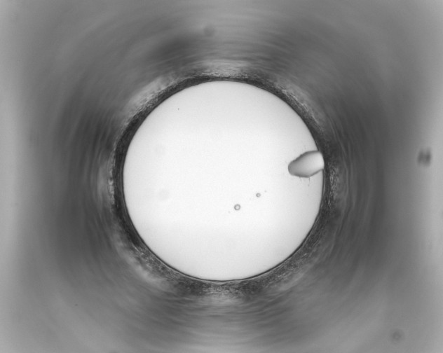 X0000093390682200711011311