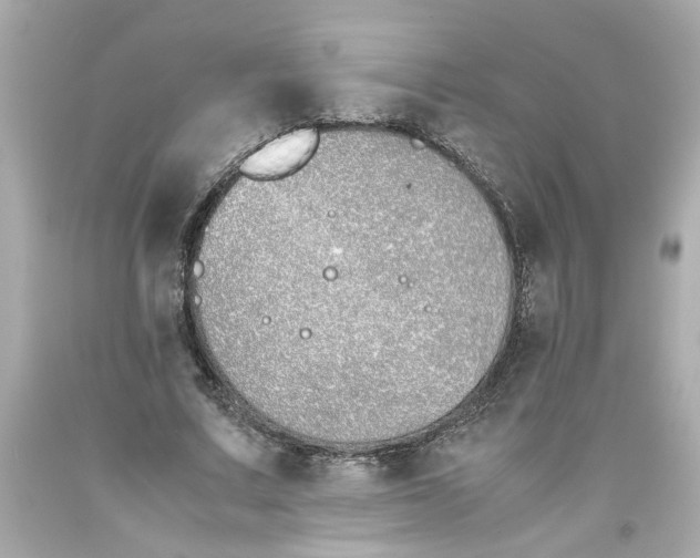 X0000093390683200711011311