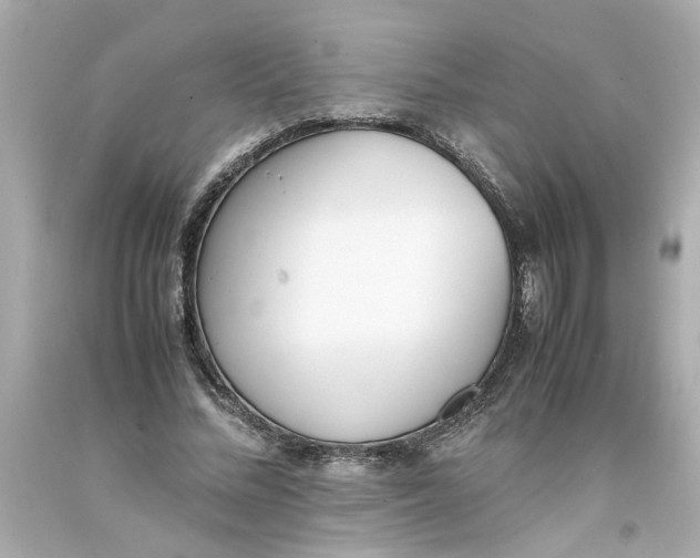 X0000093390684200711011311