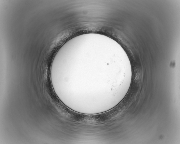 X0000093390685200711011311