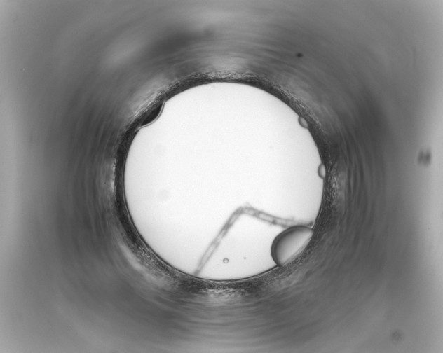 X0000093390686200711011311