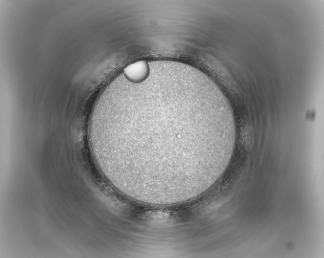 X0000093390687200711011311