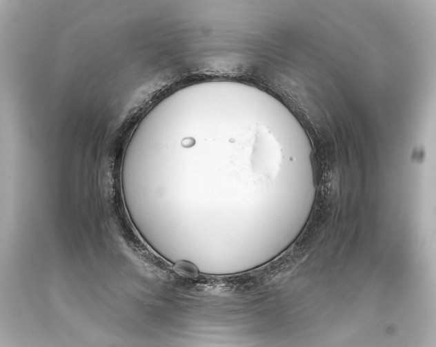 X0000093390688200711011311