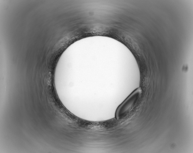 X0000093390689200711011311