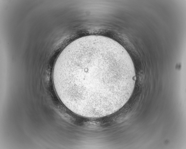 X0000093390691200711011311