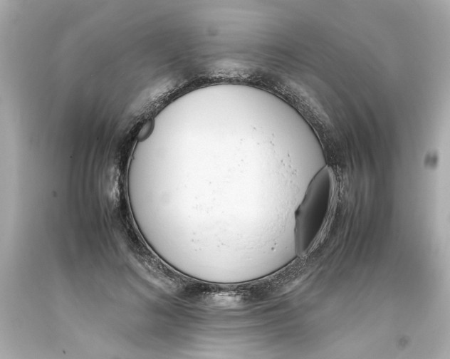 X0000093390692200711011311