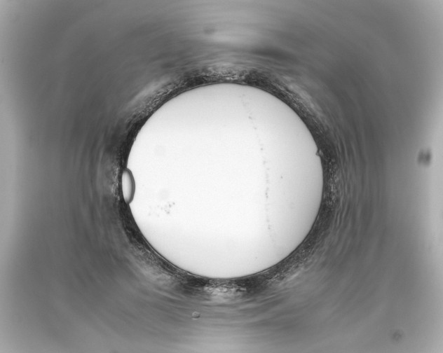 X0000093390693200711011311