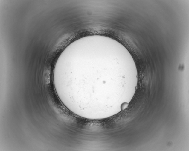 X0000093390694200711011311