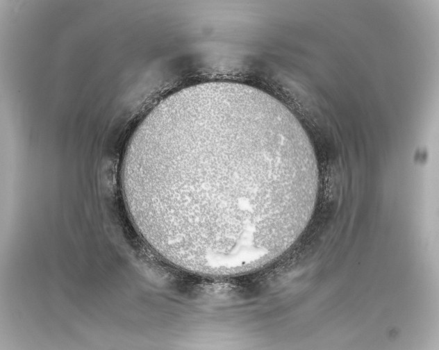 X0000093390695200711011311