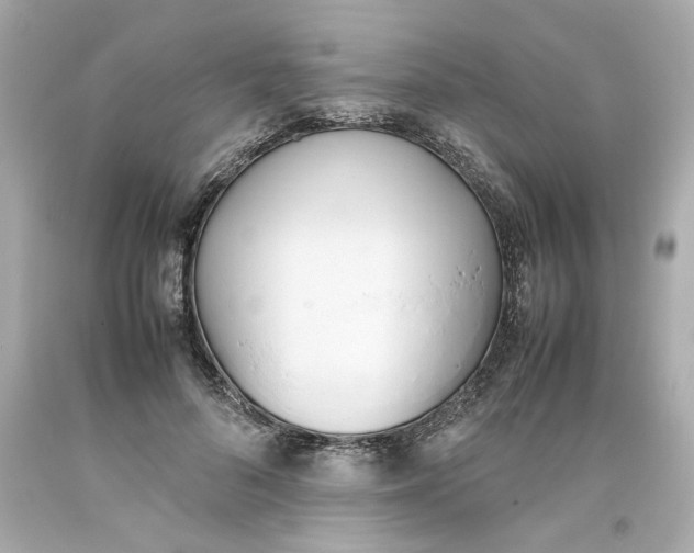 X0000093390696200711011311