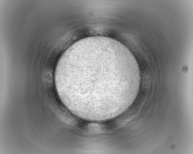 X0000093390699200711011311