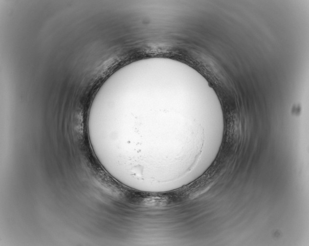 X0000093390700200711011311