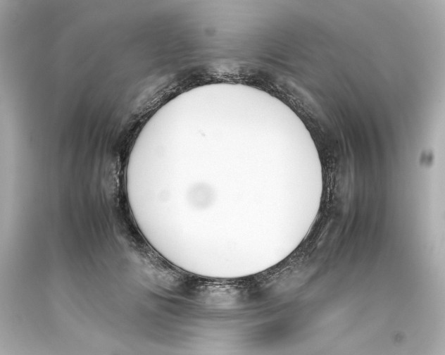 X0000093390702200711011311