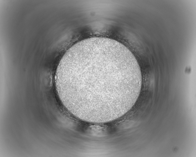 X0000093390703200711011311