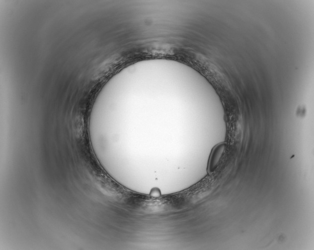 X0000093390704200711011311