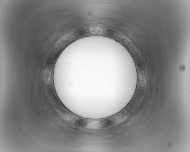 X0000093390705200711011311