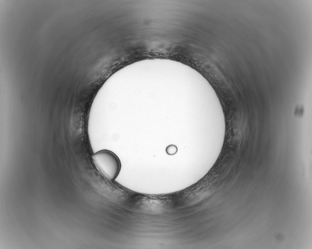 X0000093390706200711011311