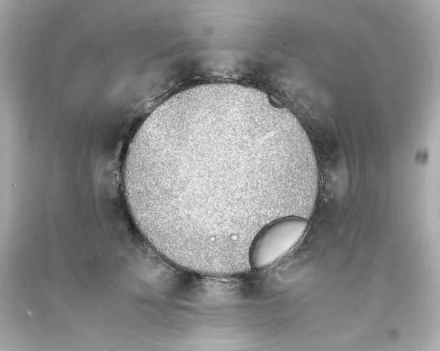 X0000093390707200711011311